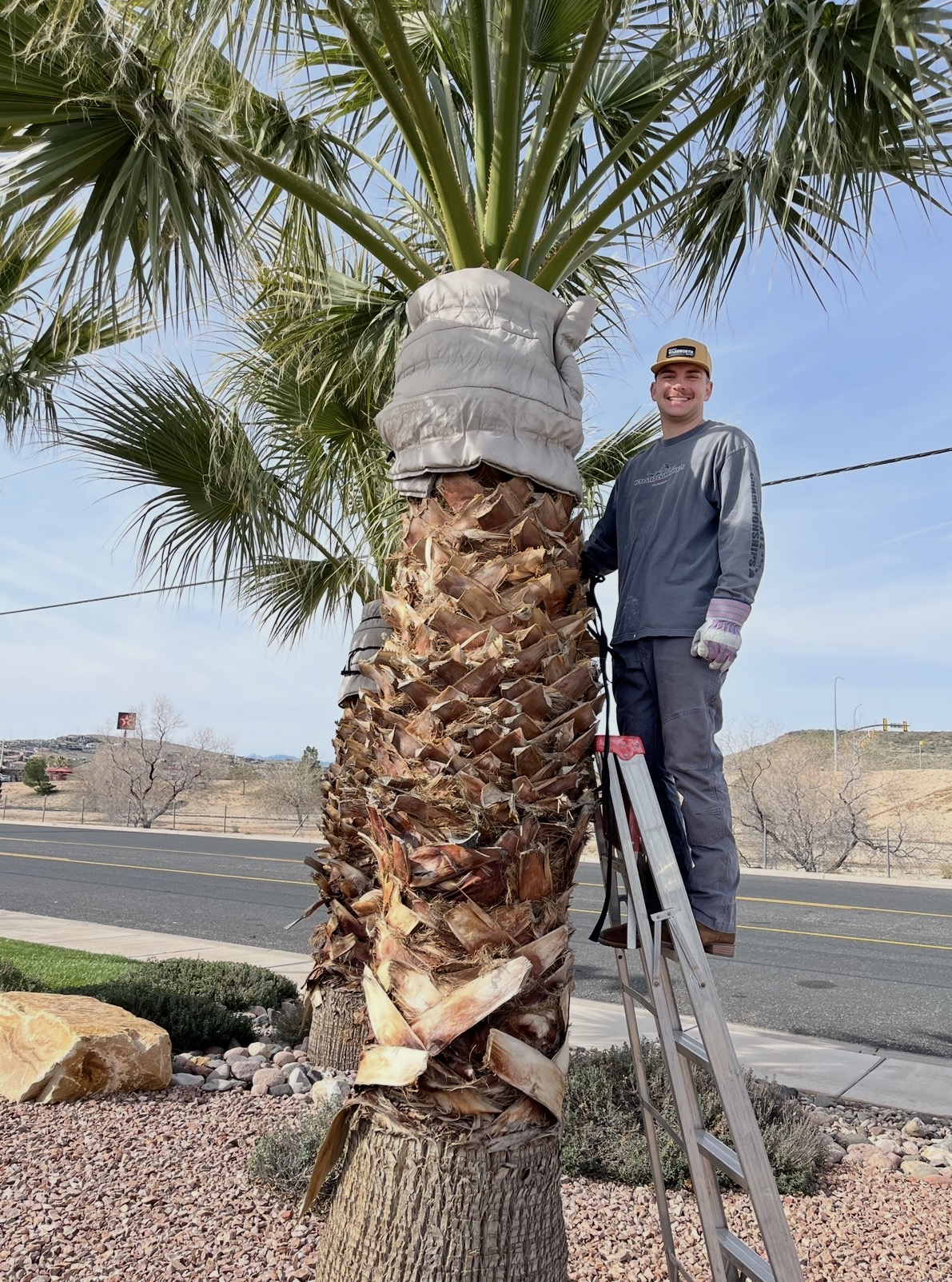 Garrison Tooke — Red Rock Palms owner — working on a palm tree